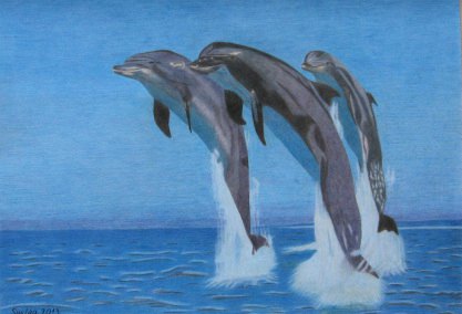 Crtež - Delfini, olovke u boji