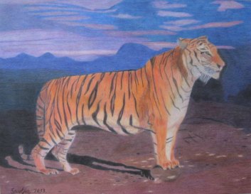 Crtež - Tigar, olovke u boji