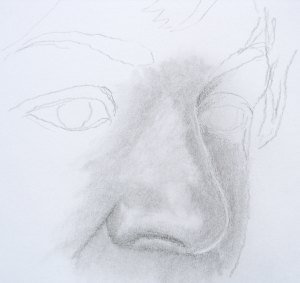 crtanje olovkom, kako nacrtati nos